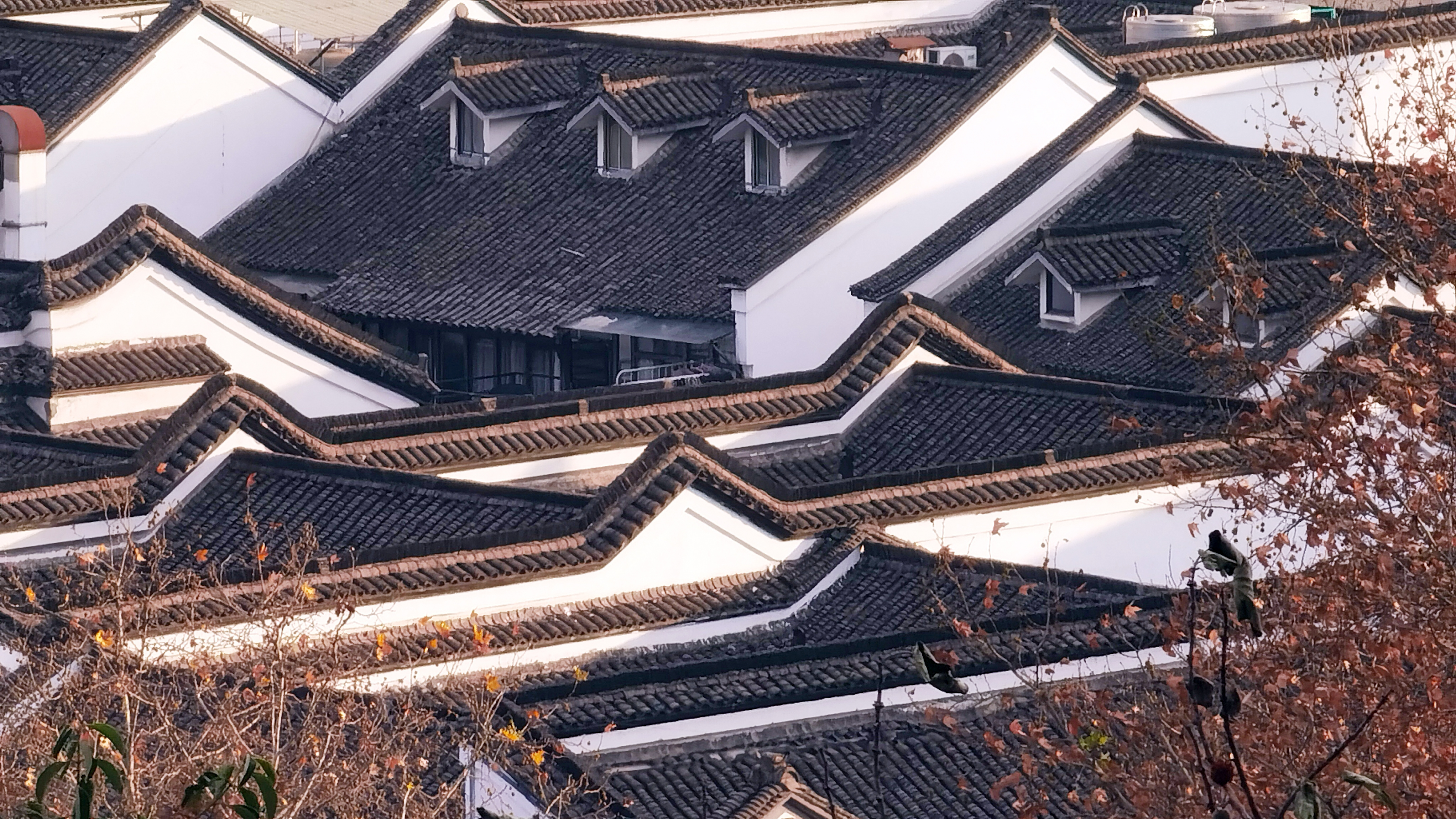 奥门金牛板